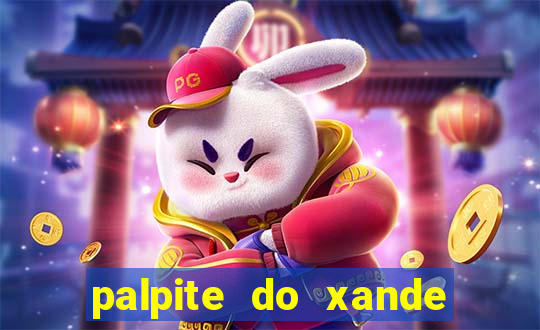 palpite do xande de hoje